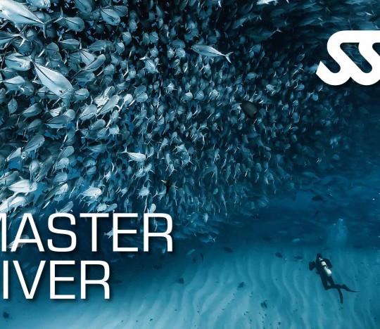 Master Diver